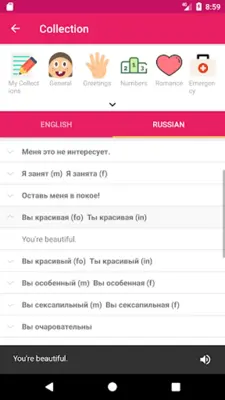 Russian English Offline Dictionary & Translator android App screenshot 0